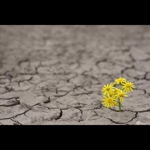 Meet your Posher, Marian